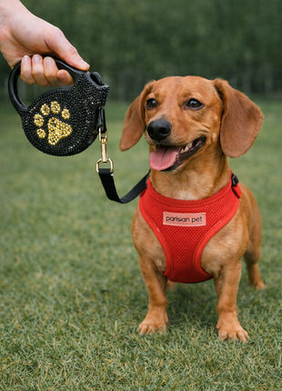 Parisian Pet 'Crystal Retractable Leash Golden Paw' for Dogs & Cats – Comfortable Pet Leash with Ergonomic Handle
