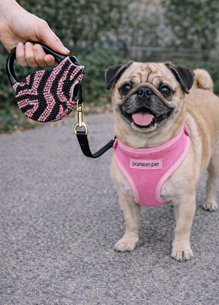 Parisian Pet 'Crystal Retractable Leash Zebra Pink' for Dogs & Cats – 16-Foot Retractable Leash with Zebra Print - Pup List