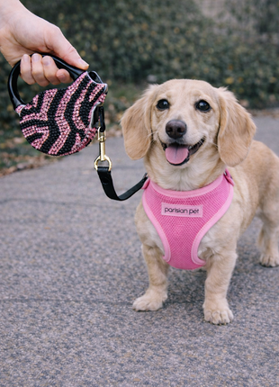 Parisian Pet 'Crystal Retractable Leash Zebra Pink' for Dogs & Cats – 16-Foot Retractable Leash with Zebra Print - Pup List