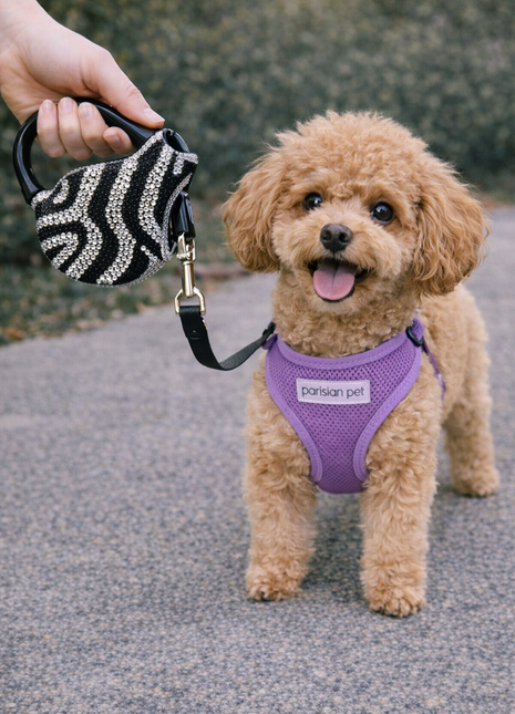 Parisian Pet 'Crystal Retractable Leash Zebra Silver' for Dogs & Cats – Durable, High-Quality Silver Pet Leash with Ergonomic Handle