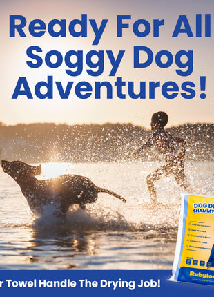 Dog Drying Shammy Towel