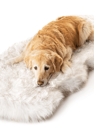 PupRug® Runner Faux Fur Memory Foam Dog Bed - Curve White with Brown Accents