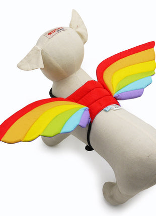Rainbow Wing