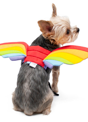 Rainbow Wing