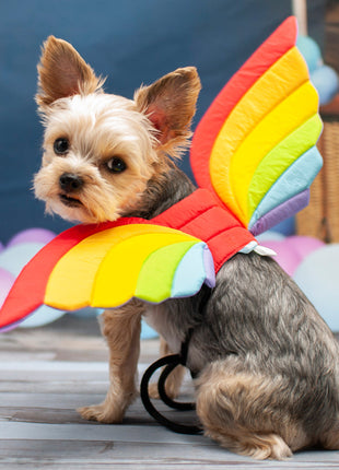 Rainbow Wing