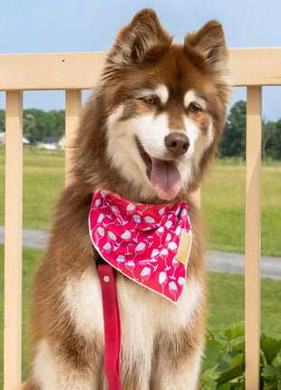 Red Mountain Syrah Dog Bandana