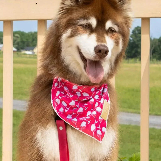 Red Mountain Syrah Dog Bandana