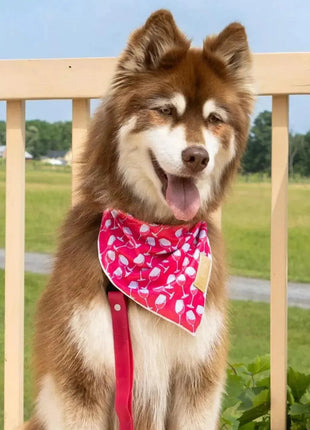 Red Mountain Syrah Dog Bandana & Matching Keychain