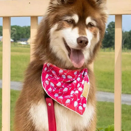 Red Mountain Syrah Dog Bandana & Matching Keychain
