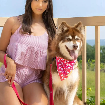 Red Mountain Syrah Dog Bandana