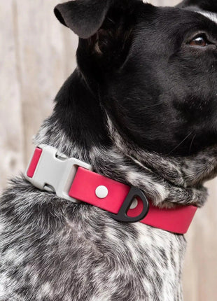 Red Mountain Syrah Waterproof Dog Collar