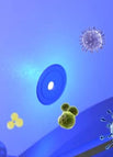 UV Light Set (2pcs)