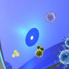 UV Light Set (2pcs)