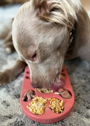 FreezPaw Mat -  Calming Slow Feeder