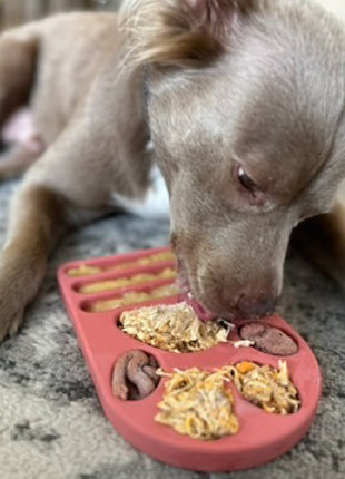 FreezPaw Mat -  Calming Slow Feeder