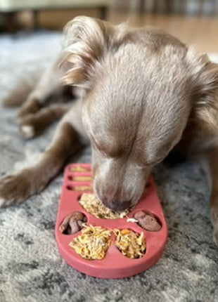 FreezPaw Mat -  Calming Slow Feeder