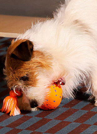 Wicked Ball Rolly - Pup List