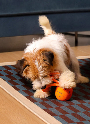 Wicked Ball Rolly - Pup List