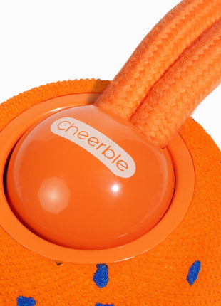 Wicked Ball Rolly