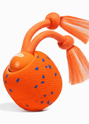 Wicked Ball Rolly - Pup List