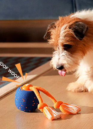 Wicked Ball Rolly - Pup List