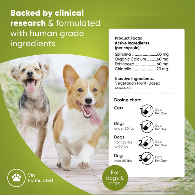 Blood Support - Pup List