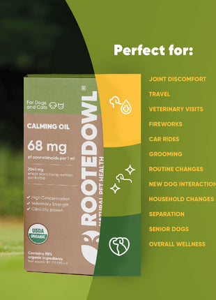 Calming Oil for Dogs -  30 Ml