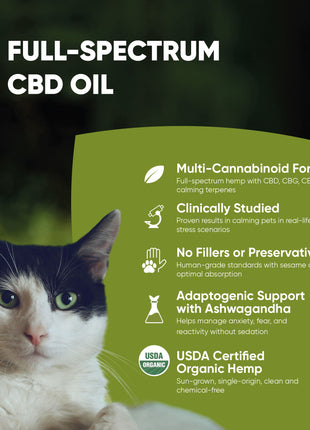 Calming Oil for Dogs -  30 Ml