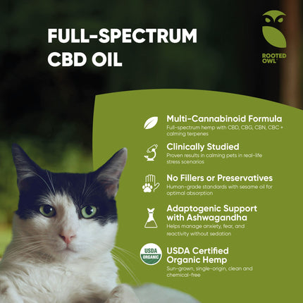 Calming Oil for Dogs -  30 Ml