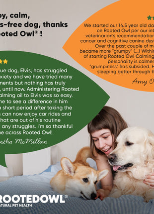 Calming Oil for Dogs -  30 Ml