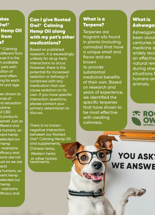 Calming Oil for Dogs -  30 Ml