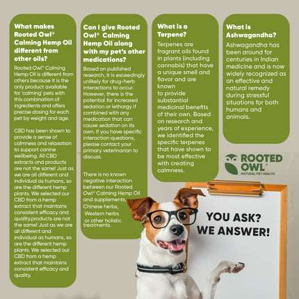 Calming Oil for Dogs -  30 Ml