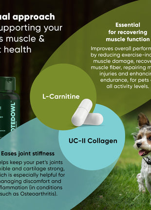 Joint & Muscle Health (Cats & Small Dogs) - Pup List