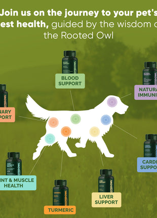 Joint & Muscle Health (Cats & Small Dogs) - Pup List