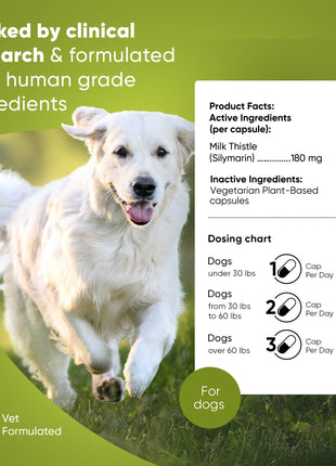 Liver Support - Pup List