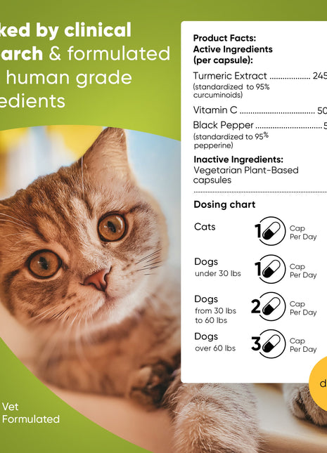 Turmeric - Pup List