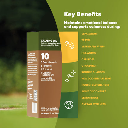 Calming CBD Oil for Dogs -  30 Ml - Pup List