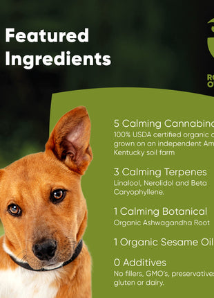 Calming CBD Oil for Dogs -  30 Ml - Pup List