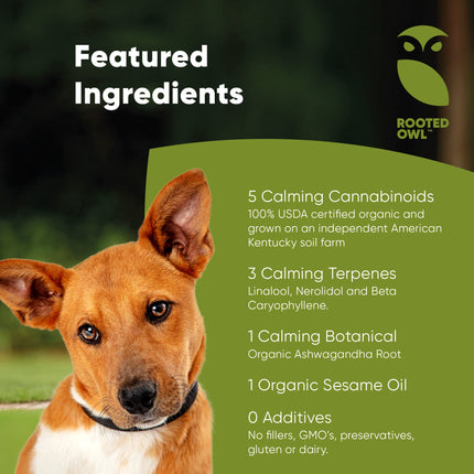 Calming CBD Oil for Dogs -  30 Ml - Pup List