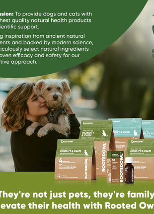 Calming CBD Oil for Dogs -  30 Ml - Pup List