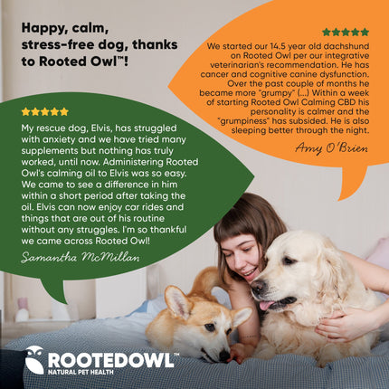 Calming CBD Oil for Dogs -  30 Ml - Pup List