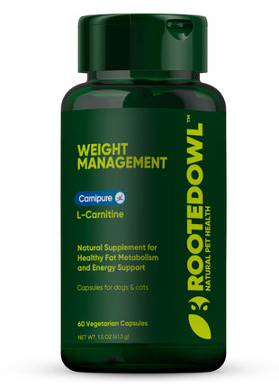 Weight Management
