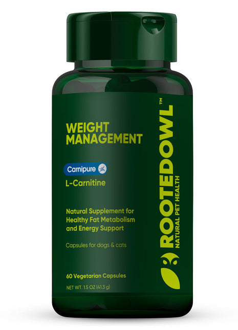 Weight Management
