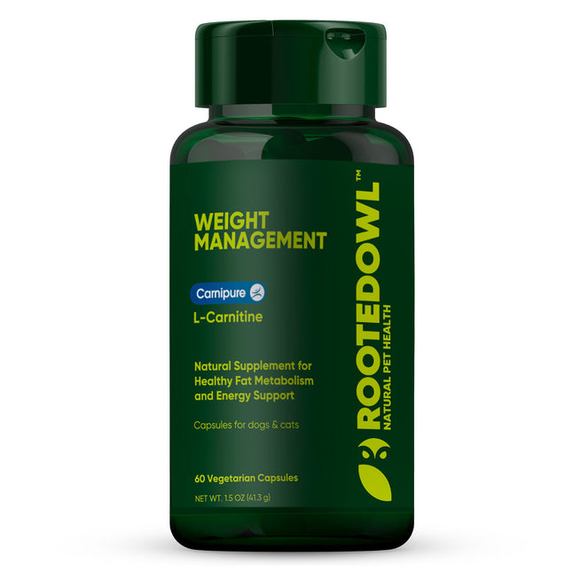 Weight Management