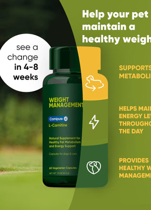 Weight Management