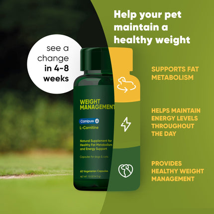 Weight Management