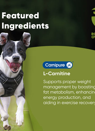 Weight Management