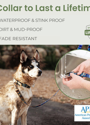 Waterproof Dog Collars – Washable Dog Collar, Stink-Proof & Durable