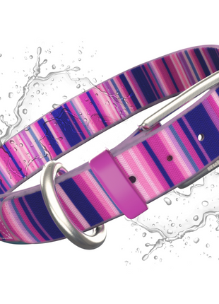 Waterproof Dog Collars – Washable Dog Collar, Stink-Proof & Durable