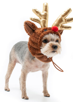 Rudolph Hat